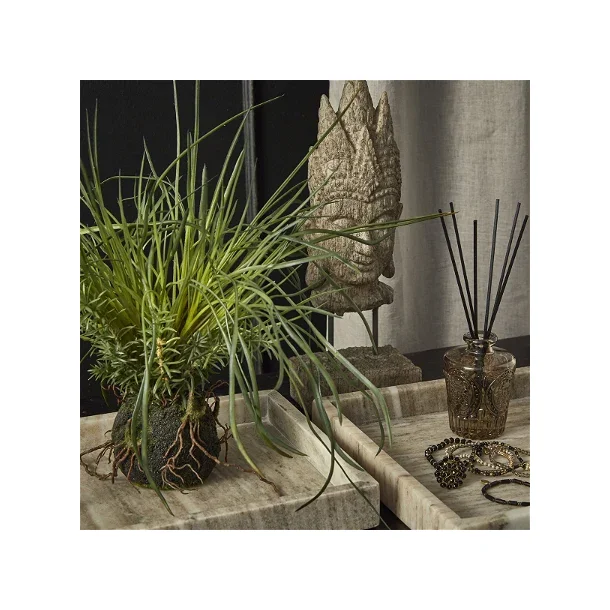 Fad marmor Sandfarvet 30x30x4cm | Speedtsberg