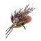 King Protea Buket, Rosa