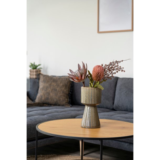 King Protea Buket, Rosa