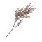 King Protea Buket, Rosa