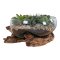 House Nordic Vanddrbe i glas med trfod 26xh20 cm