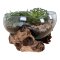 House Nordic Vanddrbe i glas med trfod 26xh20 cm
