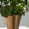 House Doctor Vase Florist Antik messing