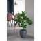 House Nordic Magnoliatr - Kunstigt tr 90 cm
