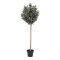 House Nordic Oliventr Kunstigt plante 150 cm