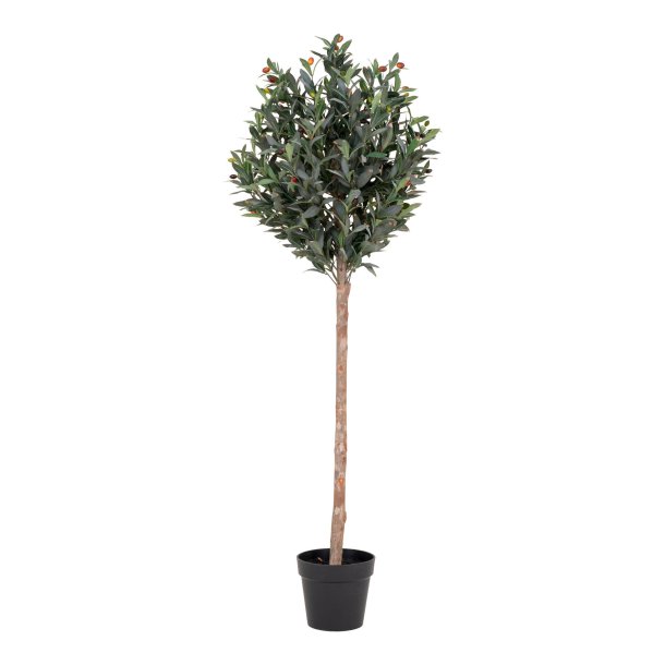 House Nordic Oliventr Kunstigt plante 150 cm