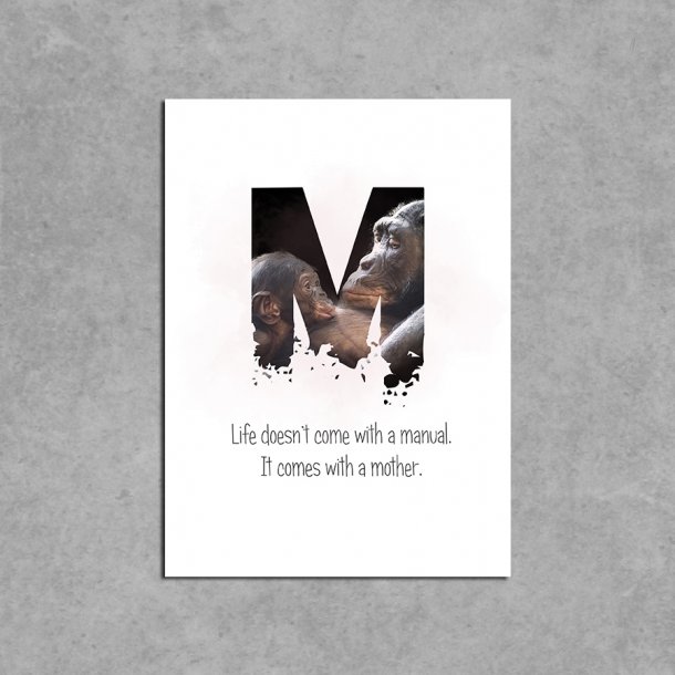 Citat kort med bogstav M - Life doesn't come with a manual