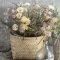 Blomst brunlige nuancer | Ib Laursen