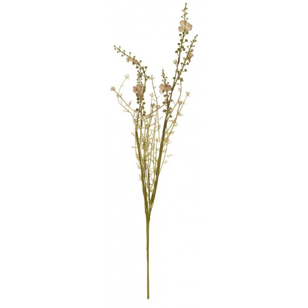 Blomst brunlige nuancer | Ib Laursen