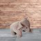 Drstopper Elefant  H25CM 