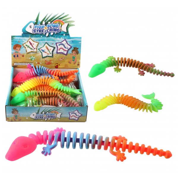 Fiskebens skelet 19 cm