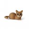 Hope Kitten Lying - Design af Chresten Sommer | Spring Copenhagen