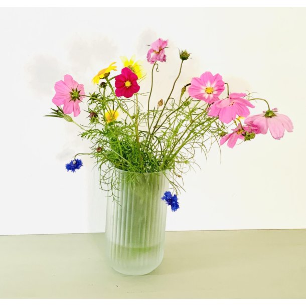 Lyngby vasen matteret klar glas 20 cm