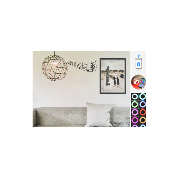 LED Music Bulb med fjernbetjening | Thomsons