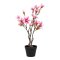 Magnoliatr Kunstigt I House Nordic 