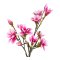 Magnoliatr Kunstigt I House Nordic 