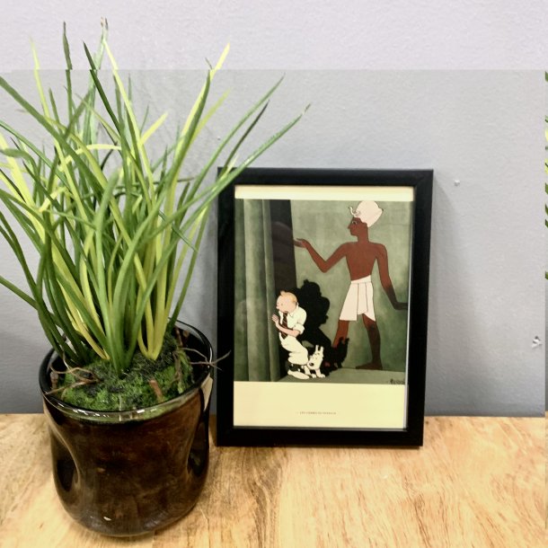 Tintin billede 13x18cm 