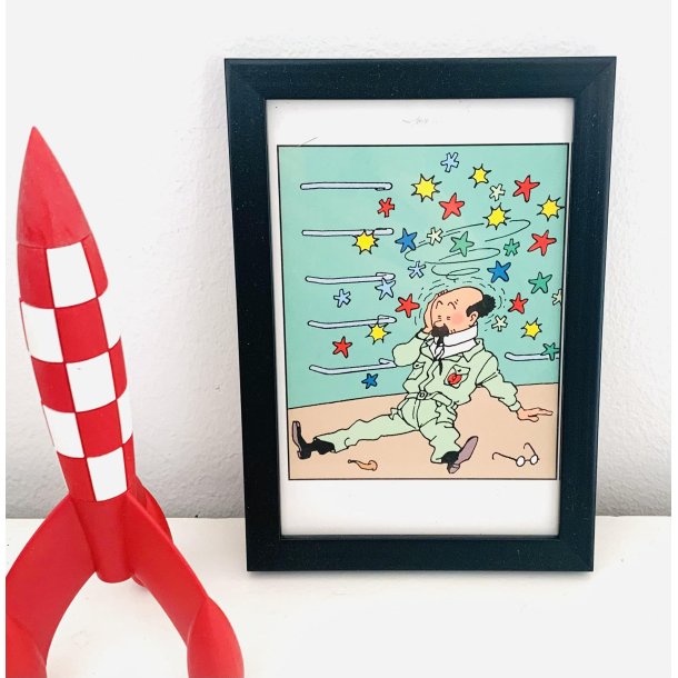Tintin billede Tournesol
